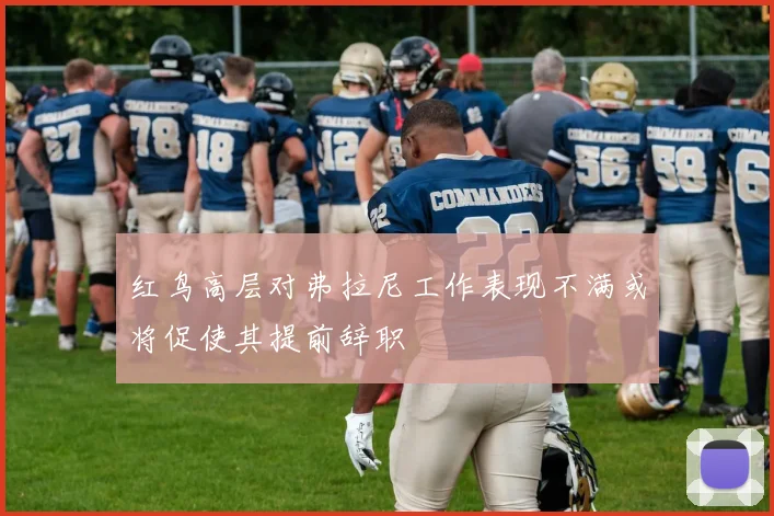 红鸟高层对弗拉尼工作表现不满或将促使其提前辞职