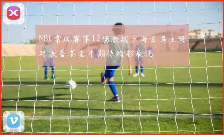 NBL常规赛第12场激战上海玄鸟主场对决香港金牛期待精彩表现