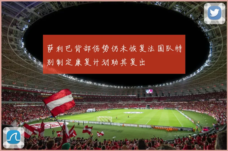 萨利巴背部伤势仍未恢复法国队特别制定康复计划助其复出
